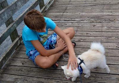 Rear view of boy sitting on wood and playing with dog