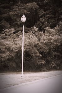 Road leading towards mountain