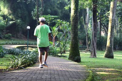 Rear view of man walking on footpath in forest