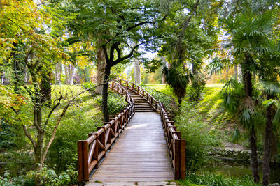Bridge and wooden walkway surrounded by green vegetation in the retiro park of madrid, in spain. 