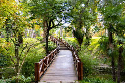 Wooden footbridge amidst trees in forest