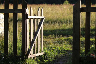 Close-up of wood on field