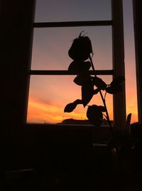 Silhouette of woman at sunset