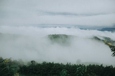 Scenic view of landscape against sky