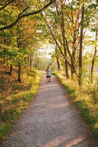 Rear view of man walking on footpath in forest