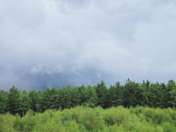 Scenic view of grassy field against cloudy sky
