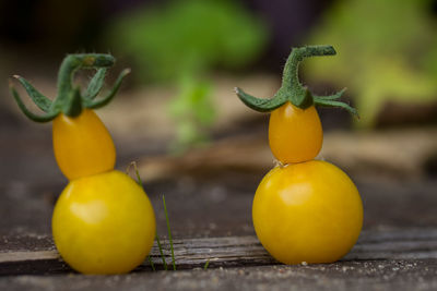 Close-up of yellow tomatoes