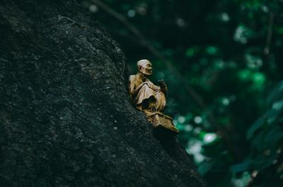 Low angle view of statue against trees