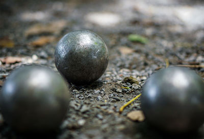 Close-up of easter egg