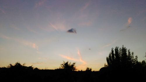 Low angle view of silhouette trees against sky during sunset