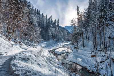 Partnach, a bavarian mountain river in a winter landscape, germany.