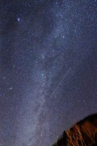 Low angle view of stars in sky