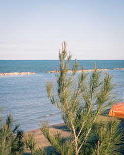 Scenic view of sea against clear sky