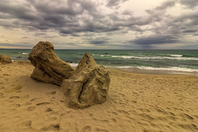 Driftwood on beach against sky