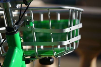 Close-up of green leaves