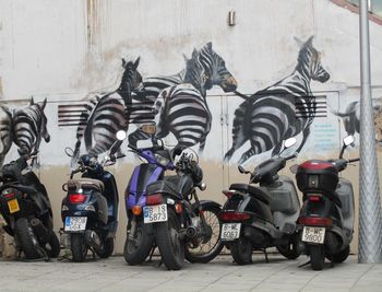 Bicycles on motorcycle