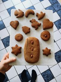 Low section of person holding cutting board with gingerbread cookies