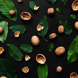 High angle view of leaves on table