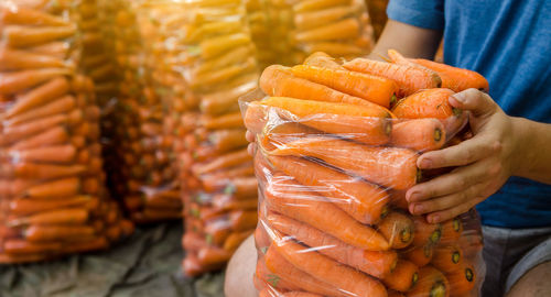 A farmer is packing freshly picked carrots into bags for sale. freshly harvested carrots. 