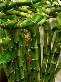 Full frame shot of green vegetables