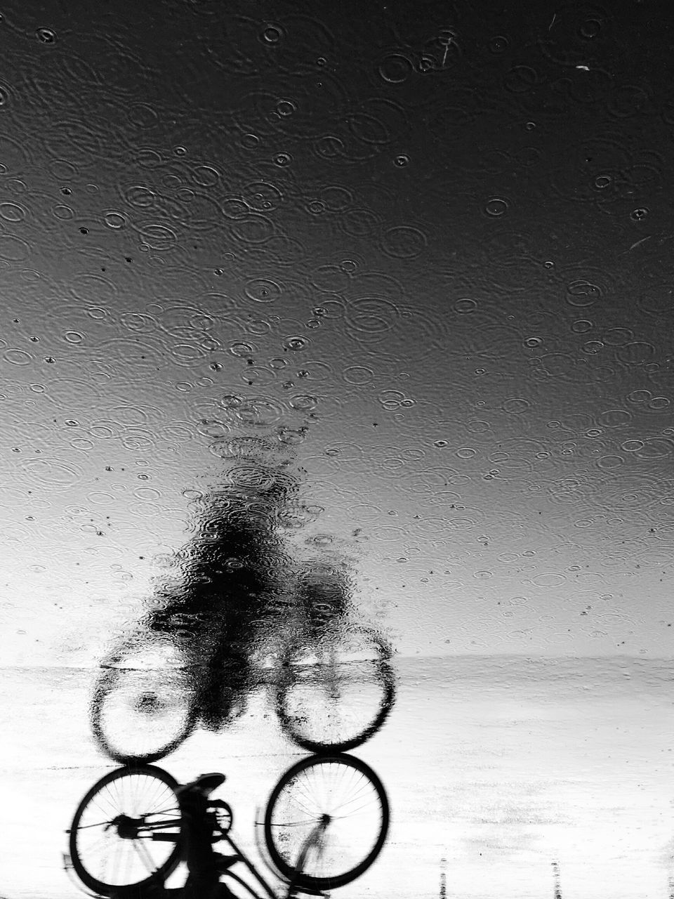 bicycle, real people, cycling, water, one person, outdoors, sky, day, people