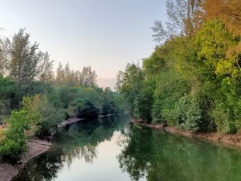 Scenic view of lake by trees against clear sky