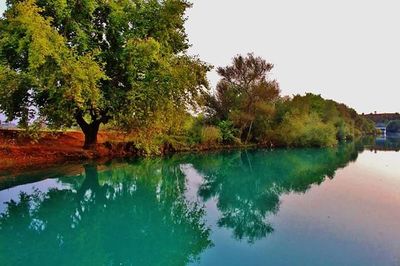 Reflection of trees in lake against sky