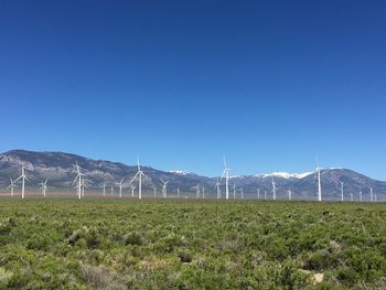 Scenic view of field against clear blue sky