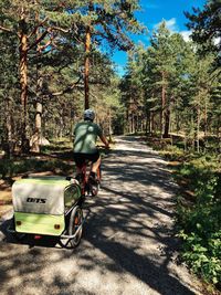 Rear view of man on road