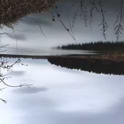 Reflection of trees in lake against sky