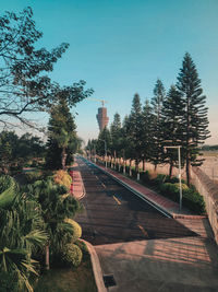 High angle view of trees against clear sky