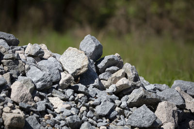 Small gravel rocks stacked at the edge of a forest