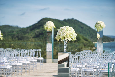 View of white and chairs on table against plants