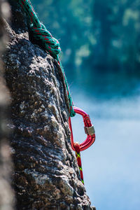 Close-up of rope on rock