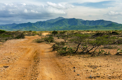 Dirt road passing through desert
