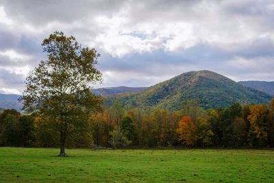 Scenic view of green landscape and mountains against cloudy sky