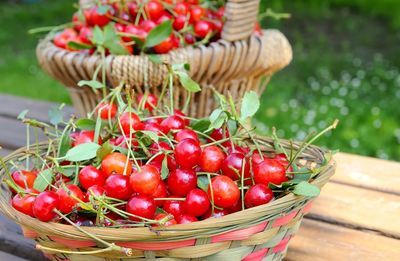 Close-up of tomatoes in basket on table