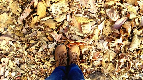 Low section of man standing on autumn leaves