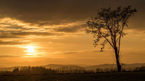 Silhouette bare trees on field against sky during sunset