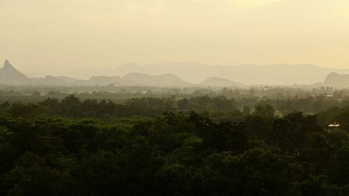 Scenic view of trees and mountains against sky