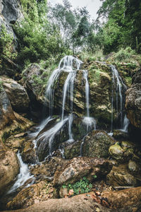 Waterfall in forest