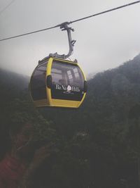 transportation