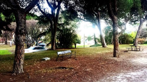 Empty bench in park