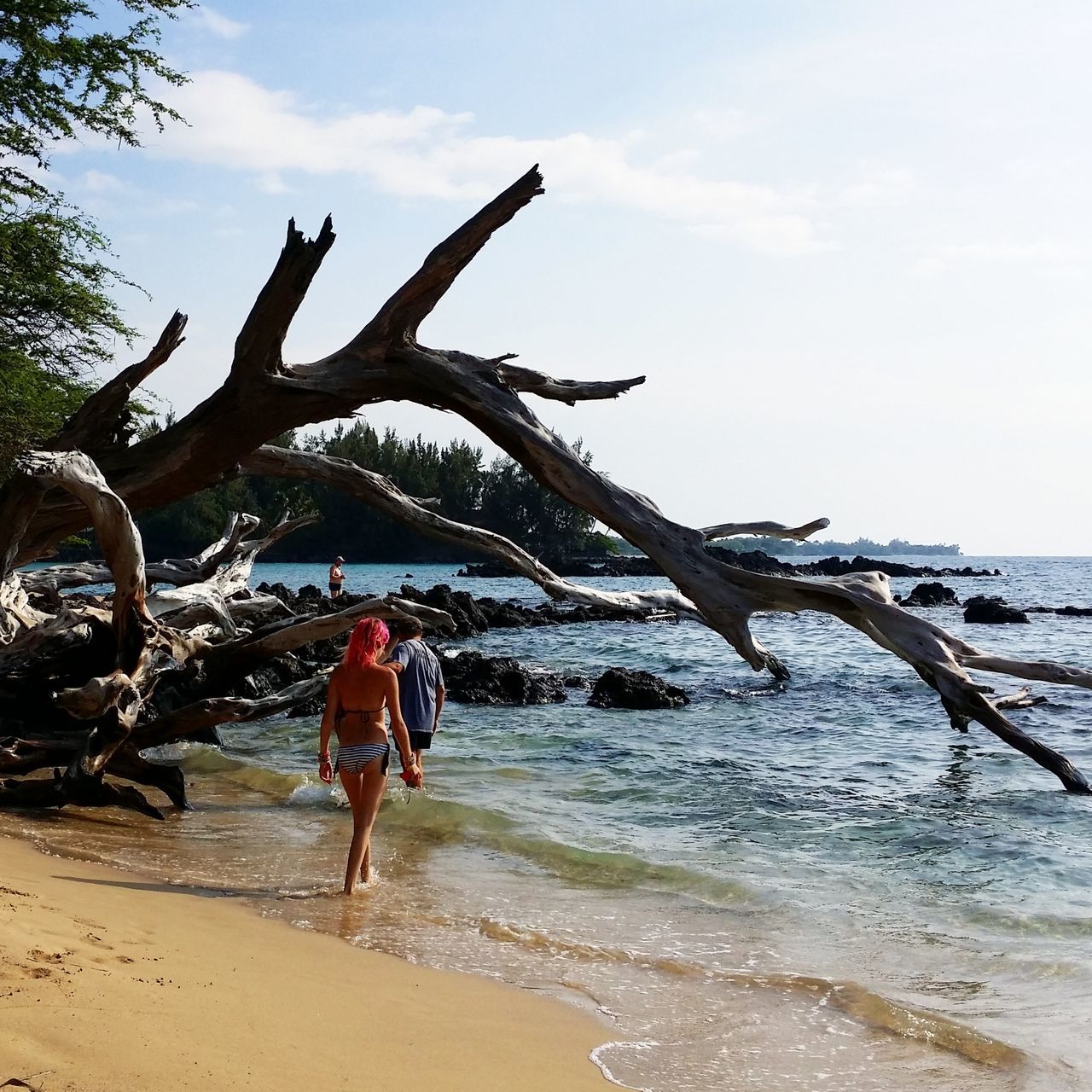 beach, sand, sea, water, shore, tree, sky, full length, leisure activity, lifestyles, tranquility, nature, horizon over water, tranquil scene, vacations, men, beauty in nature, day