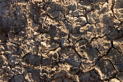 Full frame shot of cracked land