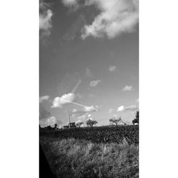 field