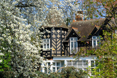 House and buildings against trees