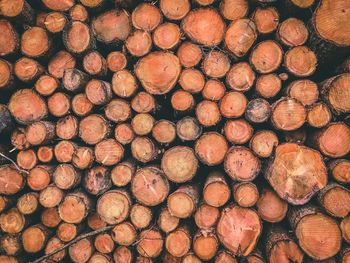 Full frame shot of logs in forest