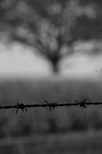 Close-up of barbed wire fence