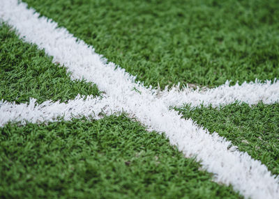 Close-up high angle view of grass